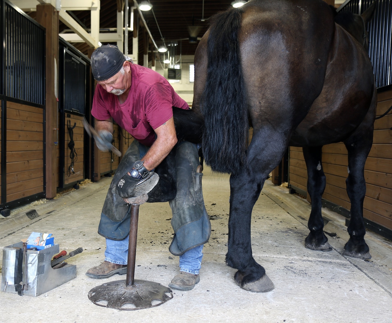 Rodney "Skip" Burgess, a farrier, resets the shoe of U.S. Army North Caisson horse Munemori at the Fort Sam Houston Caisson stable at Joint Base San Antonio-Fort Sam Houston Sept. 21.