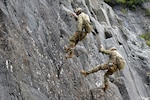 NWTC courses teach the ropes of military mountaineering