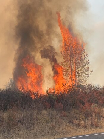 Wildland FIre