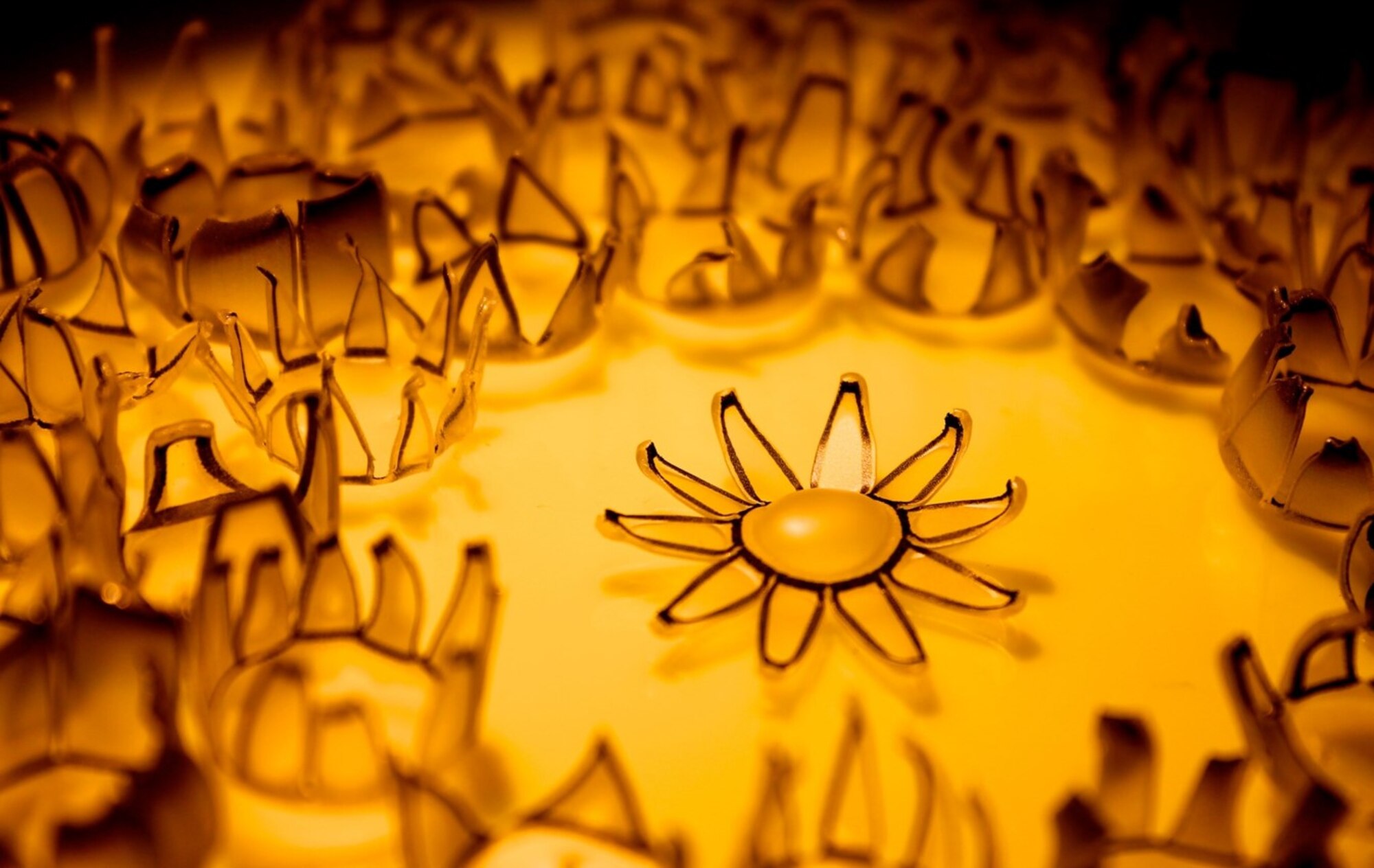 (Thermoplastic) Flower in the Sun. Stimuli-responsive polymers have gained increasing attention for their applications ranging from soft robotic grippers to actuators. By controlling strain within thin thermoplastic sheets, these small grippers can transform into three-dimensional shapes based on a photothermal response and withstand loads more than 24,000 times their own mass. (Courtesy photo/Amber Hubbard)