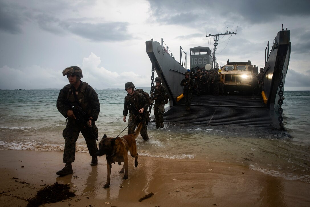 Marines and a dog exit a landing craft on a beach.