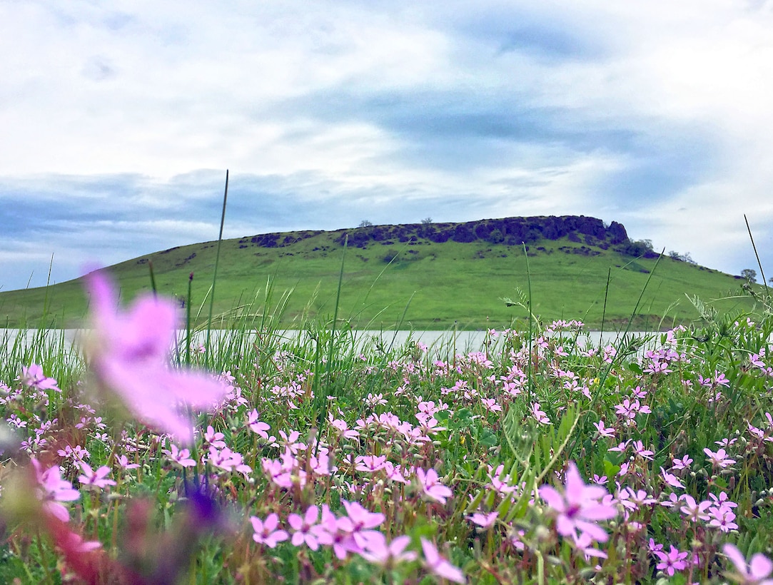 Black Butte Lake Scenery