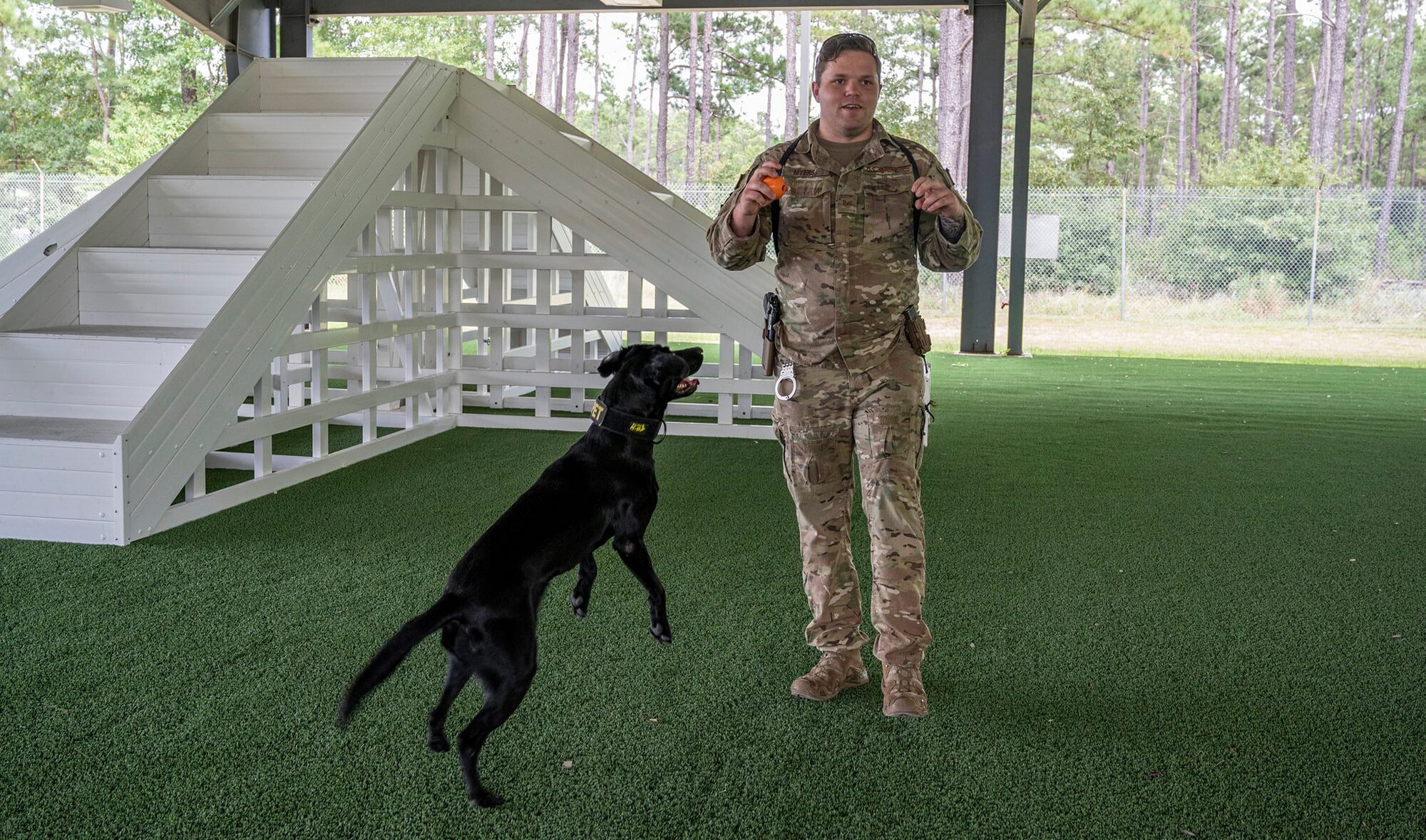 A picture of an Airman and a military working dog.