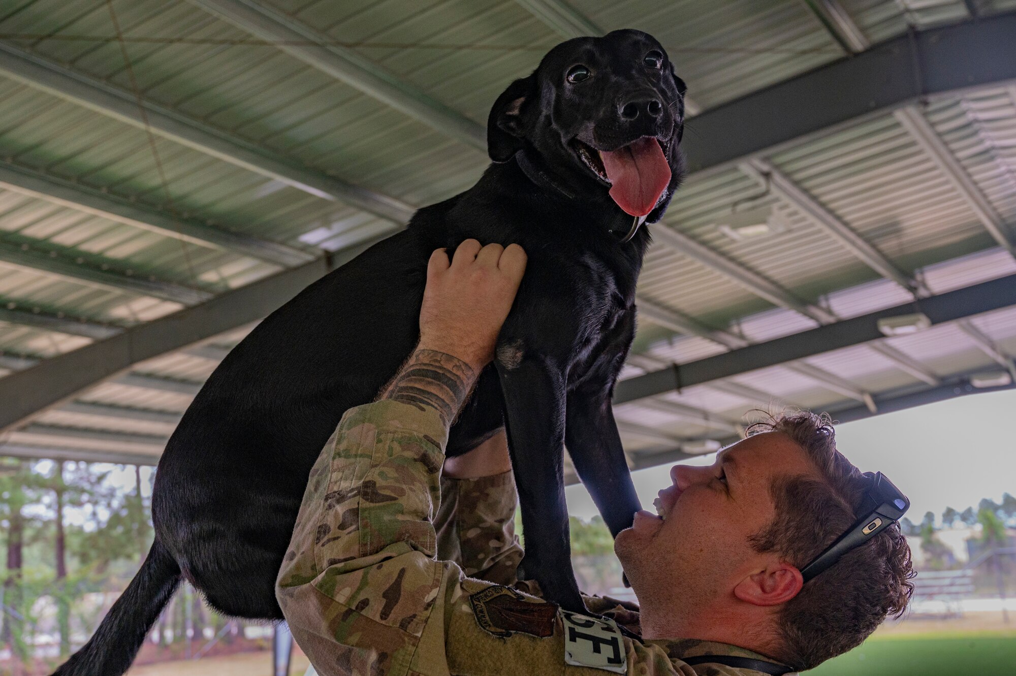 An Airman holds a dog.