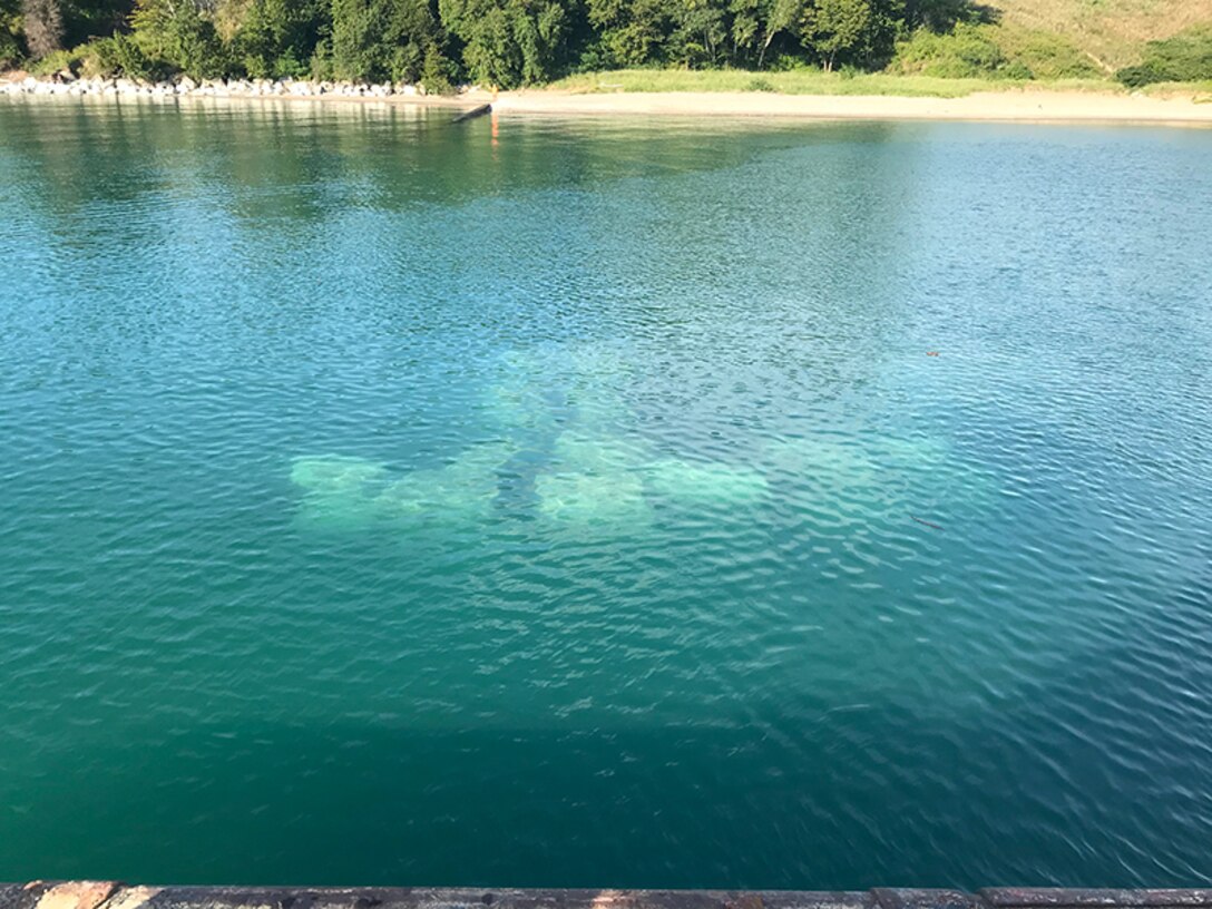 Fort Sheridan Great Lakes Fishery and Ecosystem Restoration project