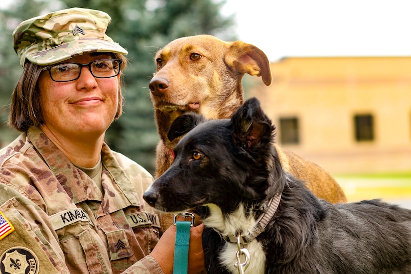 From Poland, with love: Army Reserve Soldiers return home with military rescue dogs