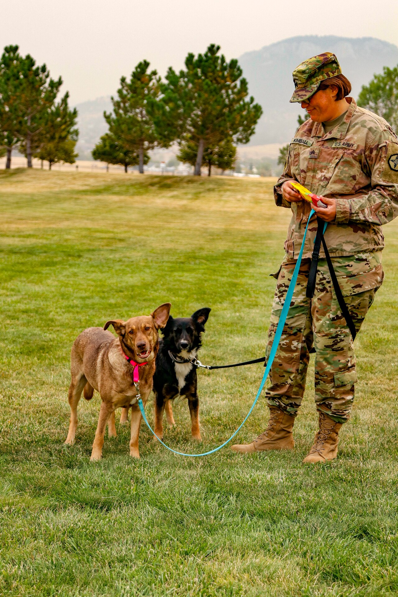 From Poland, with love: Army Reserve Soldiers return home with military rescue dogs