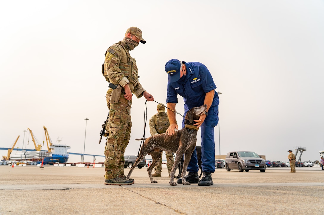 A Coast Guardsman pets a dog as another service member watches.