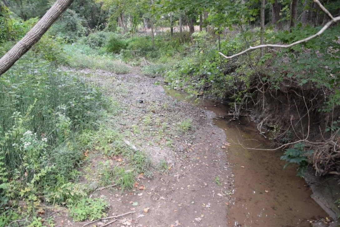 Unnamed Tributary in Coal Hollow Park