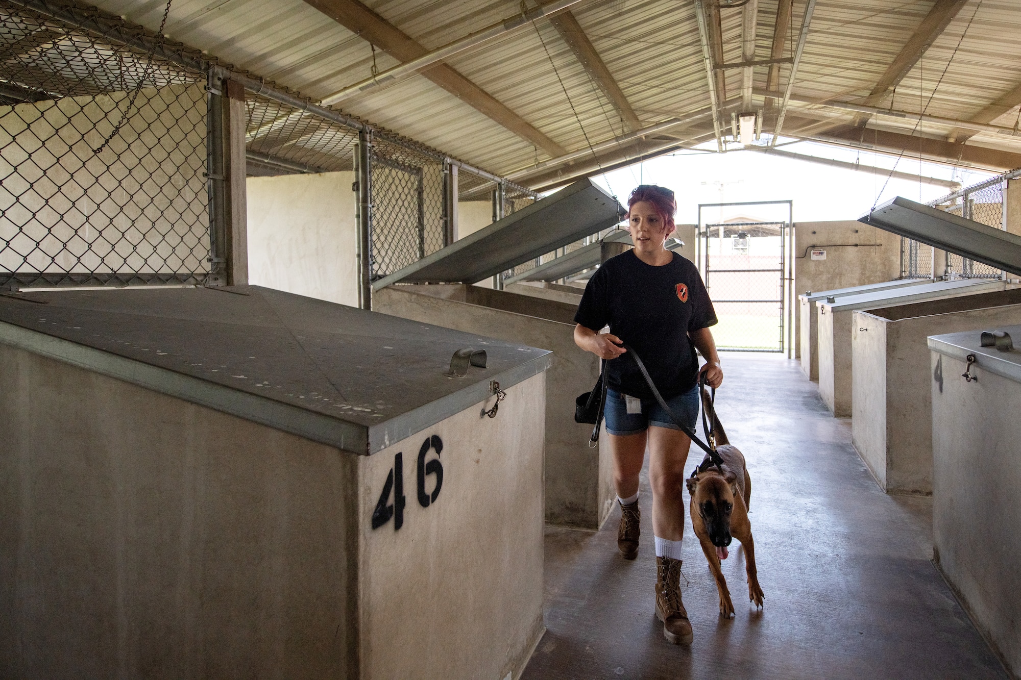 Female civilian walks dog.