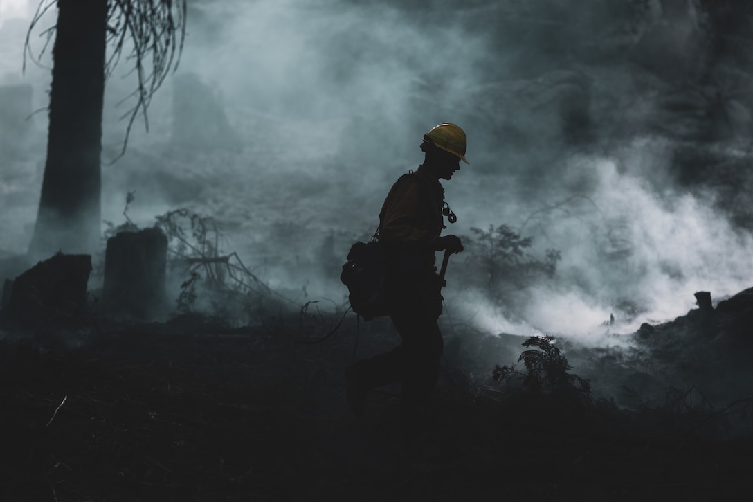 A silhouette of a Marine walking through gray smoke in a burned forest.