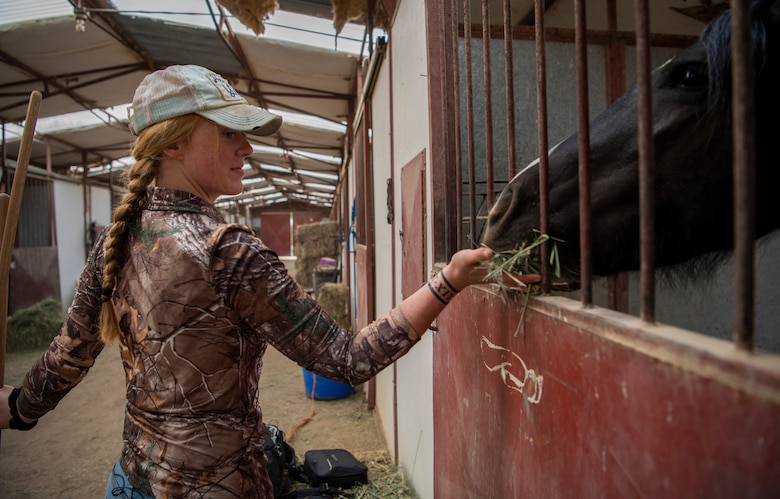 Airman Laycee Presutti, 21st Security Forces Squadron installation entry controller, feeds a rescue horse at the Triple S Ranch in Colorado Springs, Colorado, Sept. 18, 2020. Presutti volunteers to clean stables, feed and water the animals. (U.S. Space Force photo by Airman 1st Class Amanda Lovelace)