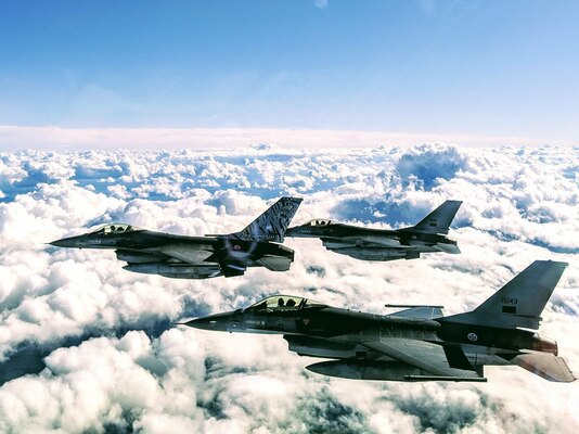 Portuguese Air Force