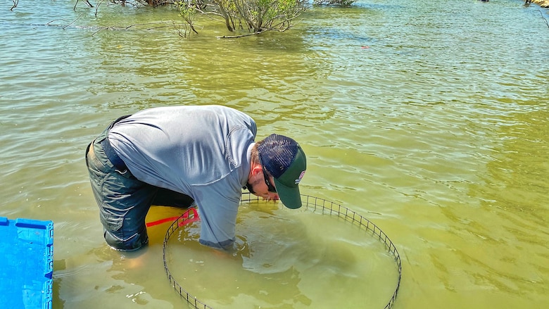 Lewisville Lake Fisheries Restoration Project