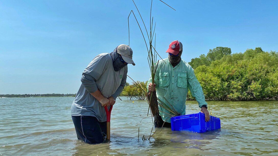 Lewisville Lake Fisheries Restoration Project