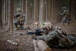 U.S. Marine advance during a force on force exercise at Combined Arms Training Center Camp Fuji, Japan, March 4.
