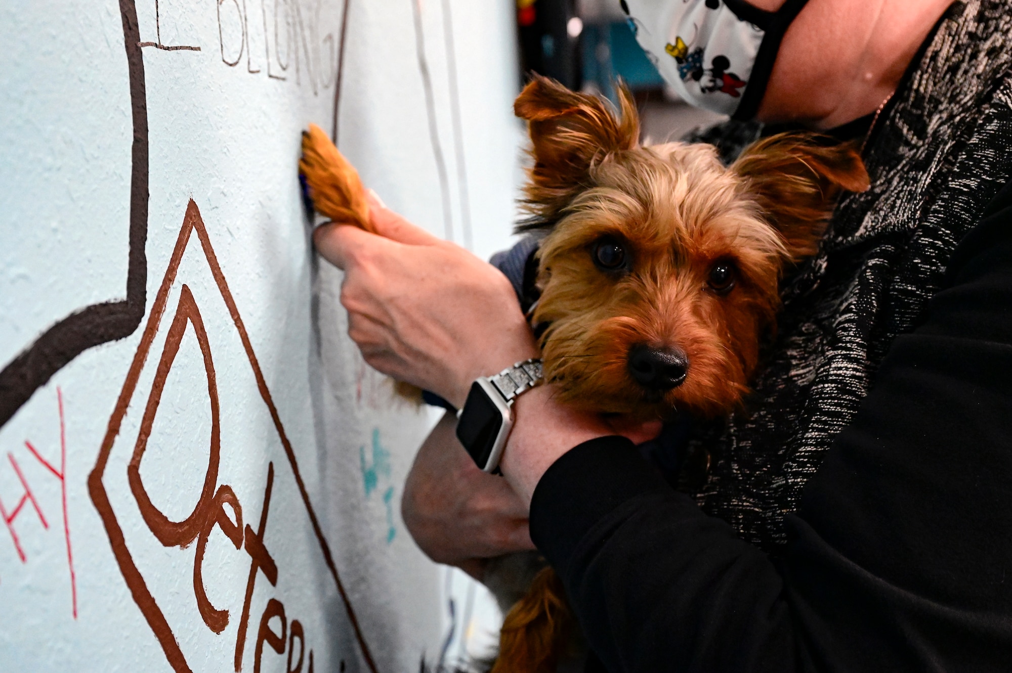 a dog paints a paw print on a mural