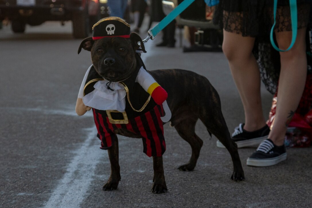 Service members and their families decorated their vehicle trunks in the spirit of Halloween during the annual Red Ribbon “Trunk or Treat” drive thru event held aboard Marine Corps Air Station Yuma, Ariz., October 29, 2020.