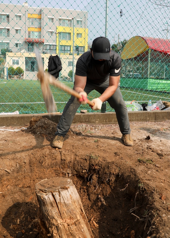 U.S. Marine Corps Sgt. Robert Perez, a chemical, biological, radiological, and nuclear specialist with U.S. Marine Corps Forces – Korea, removes a tree stump during a volunteer event at Sunrin Orphanage, Pohang, South Korea, March 13, 2021.