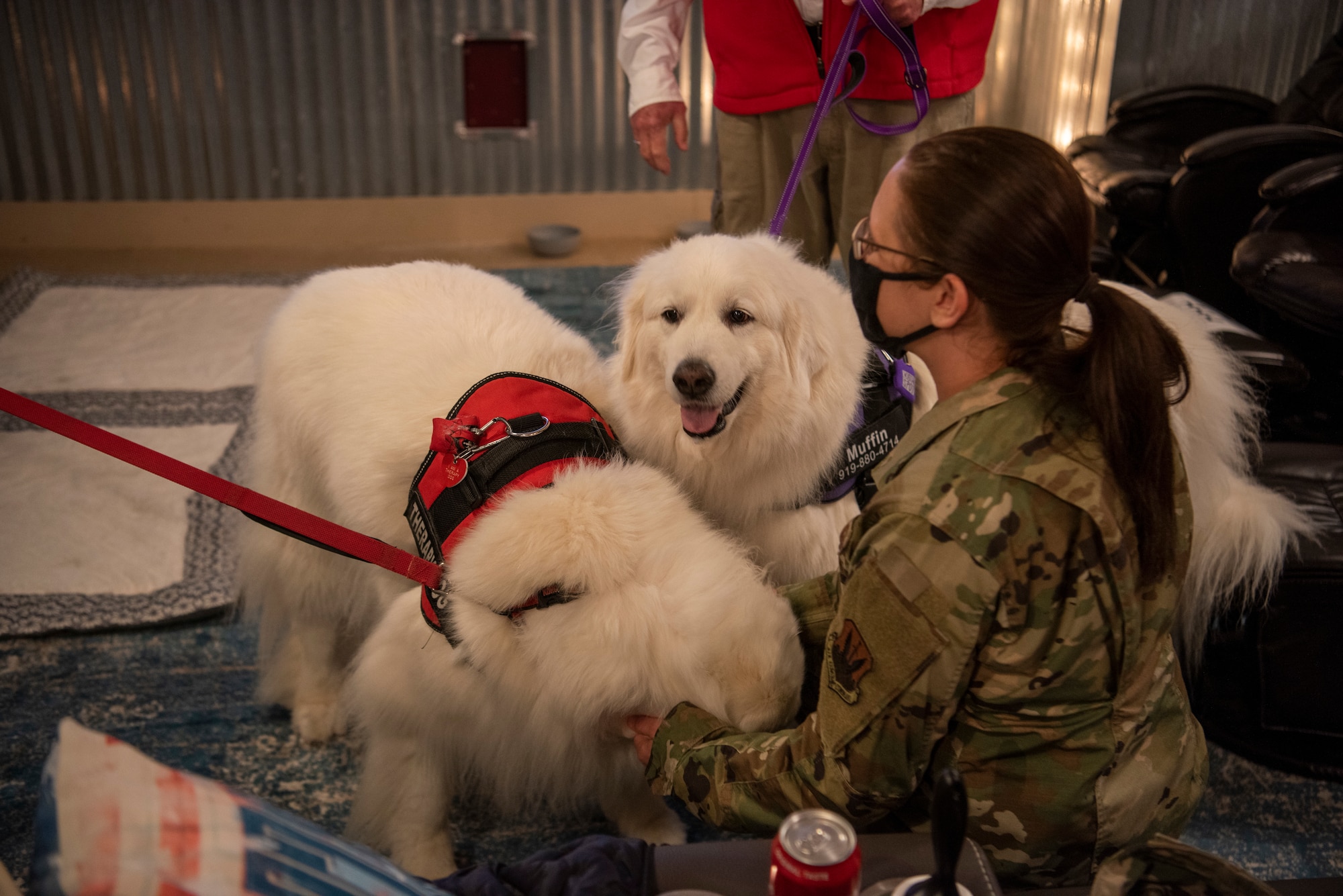Airman 1st Class Kimberley Barrera, 4th Fighter Wing public affairs specialist, pets therapeutic dogs at the USO of North Carolina reopening at Seymour Johnson Air Force Base, North Carolina, April 01, 2021.