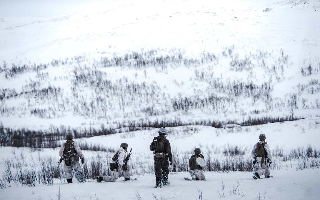 U.S. Marines with Marine Rotational Force Europe 21.1 (MRF-E), Marine Forces Europe and Africa, fire down range during a company live-fire attack as part of Exercise Arctic Littoral Strike in Blåtind, Norway, March 30, 2021.