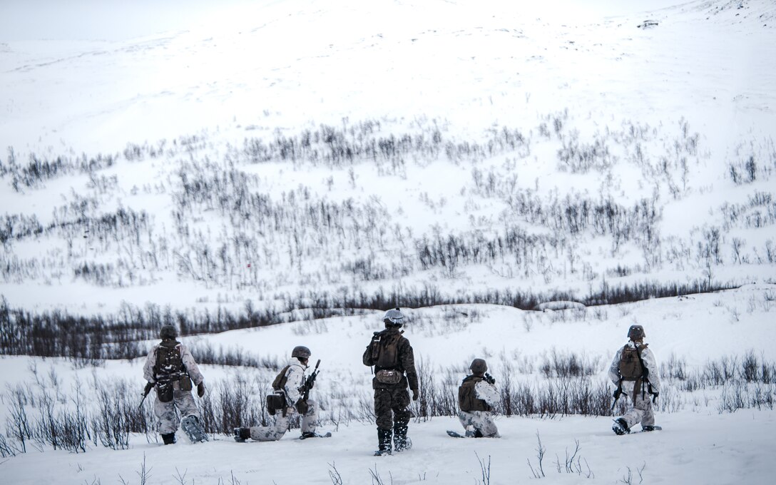 U.S. Marines with Marine Rotational Force Europe 21.1 (MRF-E), Marine Forces Europe and Africa, fire a TOW missile system during a company live-fire attack as part of Exercise Arctic Littoral Strike in Blåtind, Norway, March 29, 2021. Exercise Arctic Littoral Strike improved MRF-E’s ability to confront the challenges of anti-access, area denial capabilities posed by a notional peer adversary in a contested littoral environment. MRF-E demonstrated the ability to support joint fleet operations by providing over watch to a Norwegian submarine and destroying a notional adversary integrated air defense system. MRF-E focuses on regional engagements throughout Europe by conducting various exercises, arctic cold-weather and mountain warfare training, and military-to-military engagements, which enhance overall interoperability of the U.S. Marine Corps with allies and partners. (U.S. Marine Corps photo by Cpl. Patrick King)