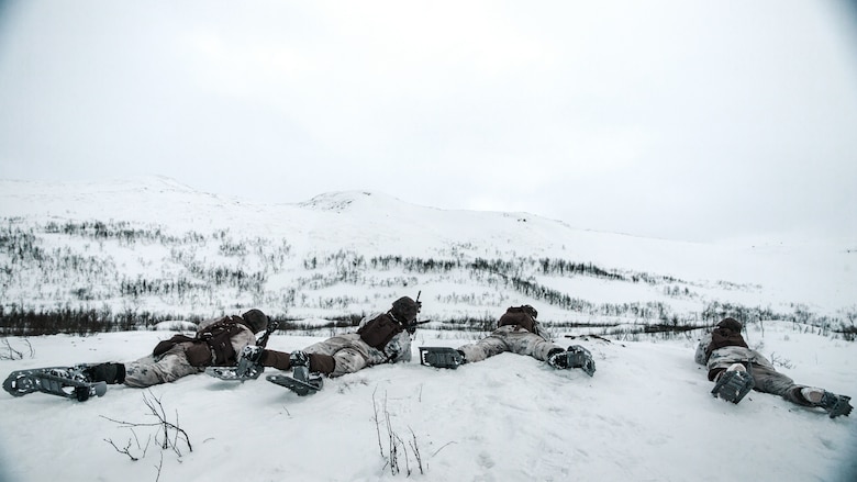 U.S. Marines with Marine Rotational Force Europe 21.1 (MRF-E), Marine Forces Europe and Africa, fire down range during a company live-fire attack as part of Exercise Arctic Littoral Strike in Blåtind, Norway, March 30, 2021.