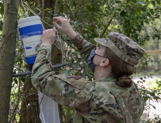 Airman hangs trap on tree.