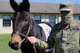 mule mascot with soldier