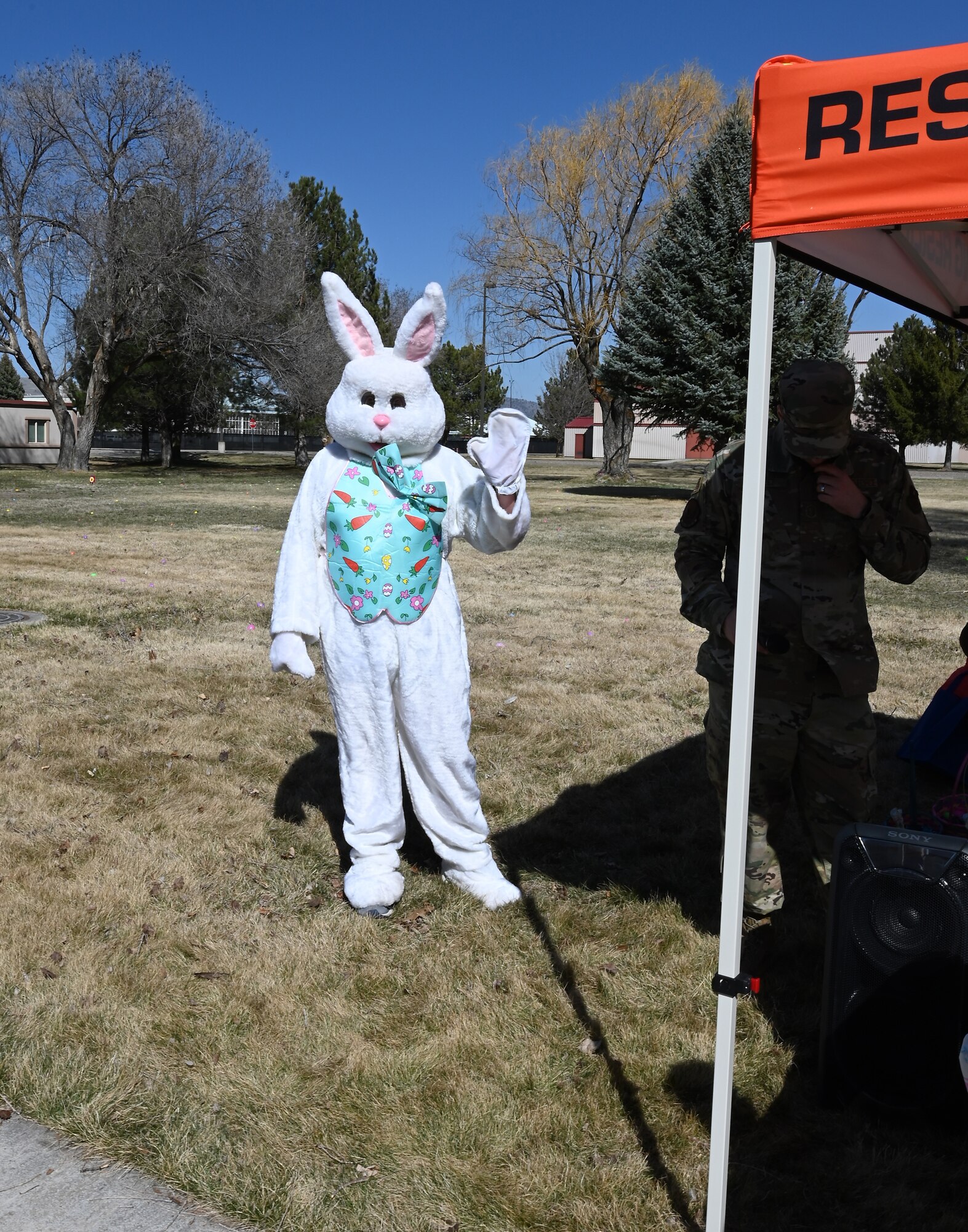 Easter bunny