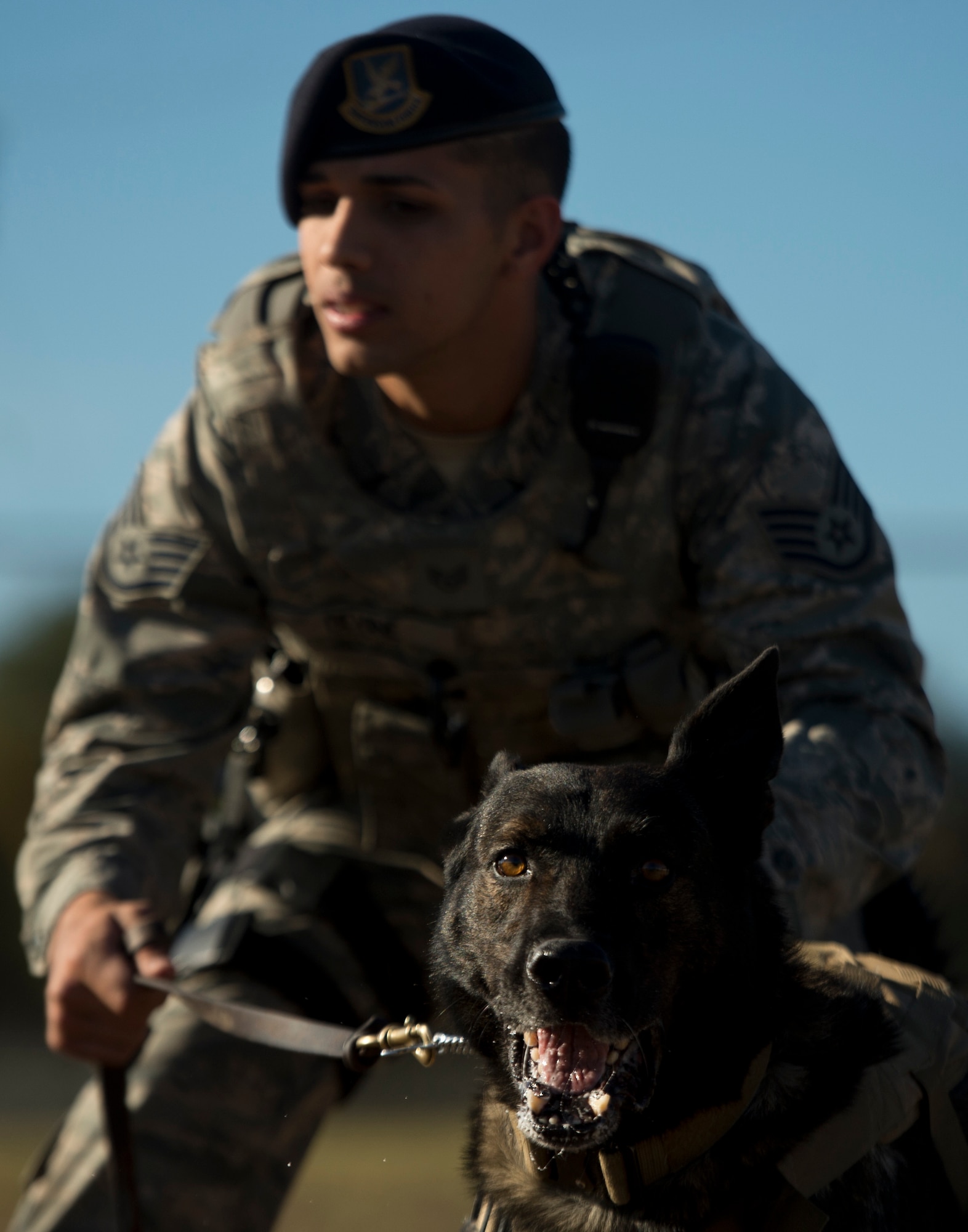 Staff Sgt. Mark Devine, a military working dog handler from the 802nd Security Forces Squadron, holds JJany during a morning exercise training session at Joint Base San Antonio-Lackland. Devine and military working dog handlers assigned to JBSA-Lackland fulfill daily law enforcement requirements or train to remain mission-ready. (U.S. Air force photo/Staff Sgt. Vernon Young Jr.)