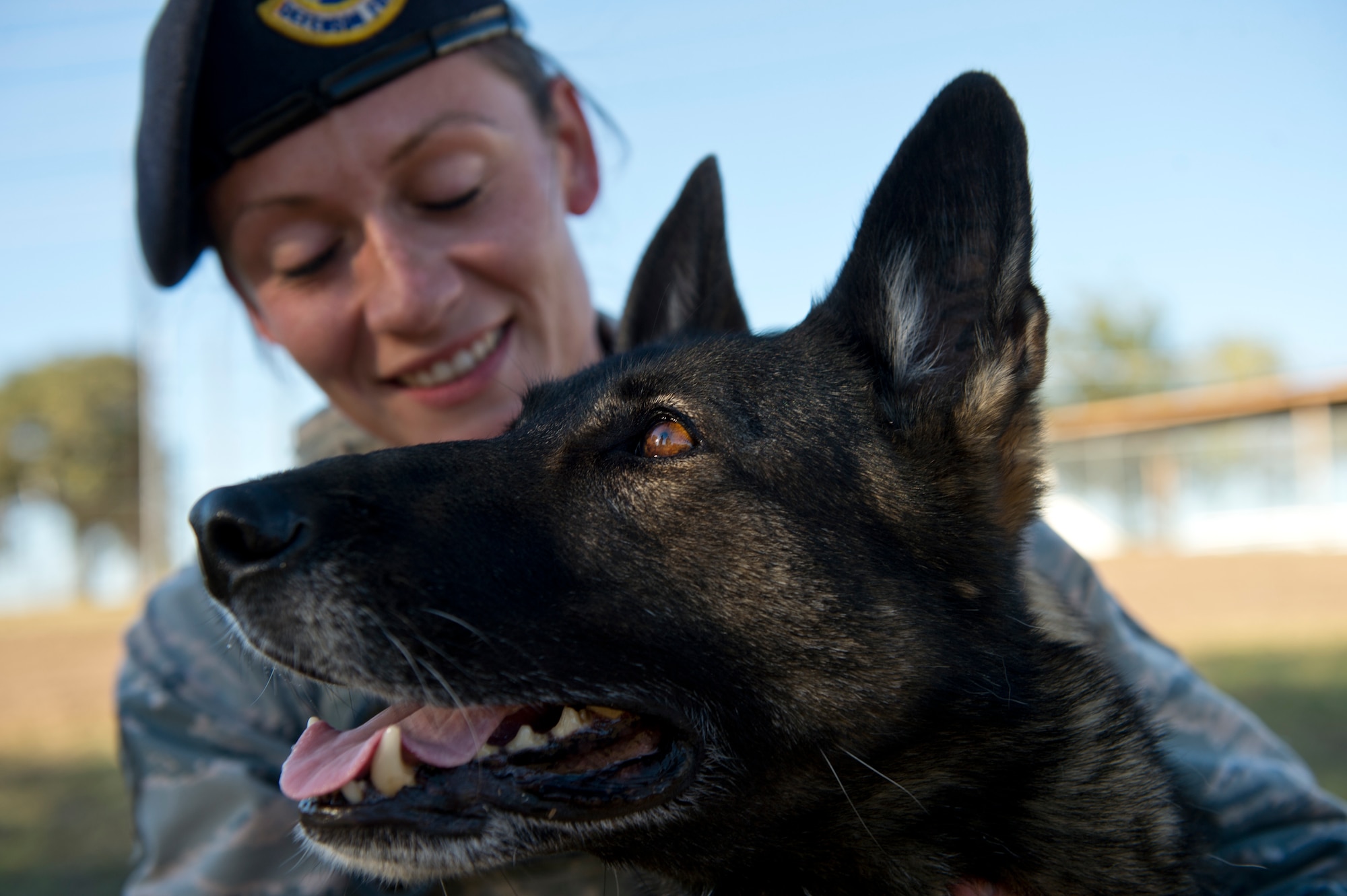 Senior Airman Chelsea LaFever, a military working dog handler from the 802nd Security Forces Squadron, smiles with her dog ZZusa after training at Joint Base San Antonio-Lackland. Upon completion of training tasks, LaFever encourages ZZusa with a treat. LaFever and ZZusa have been training and developing chemistry to complete the day-to-day mission at JBSA-Lackland. (U.S. Air force photo/Staff Sgt. Vernon Young Jr.)