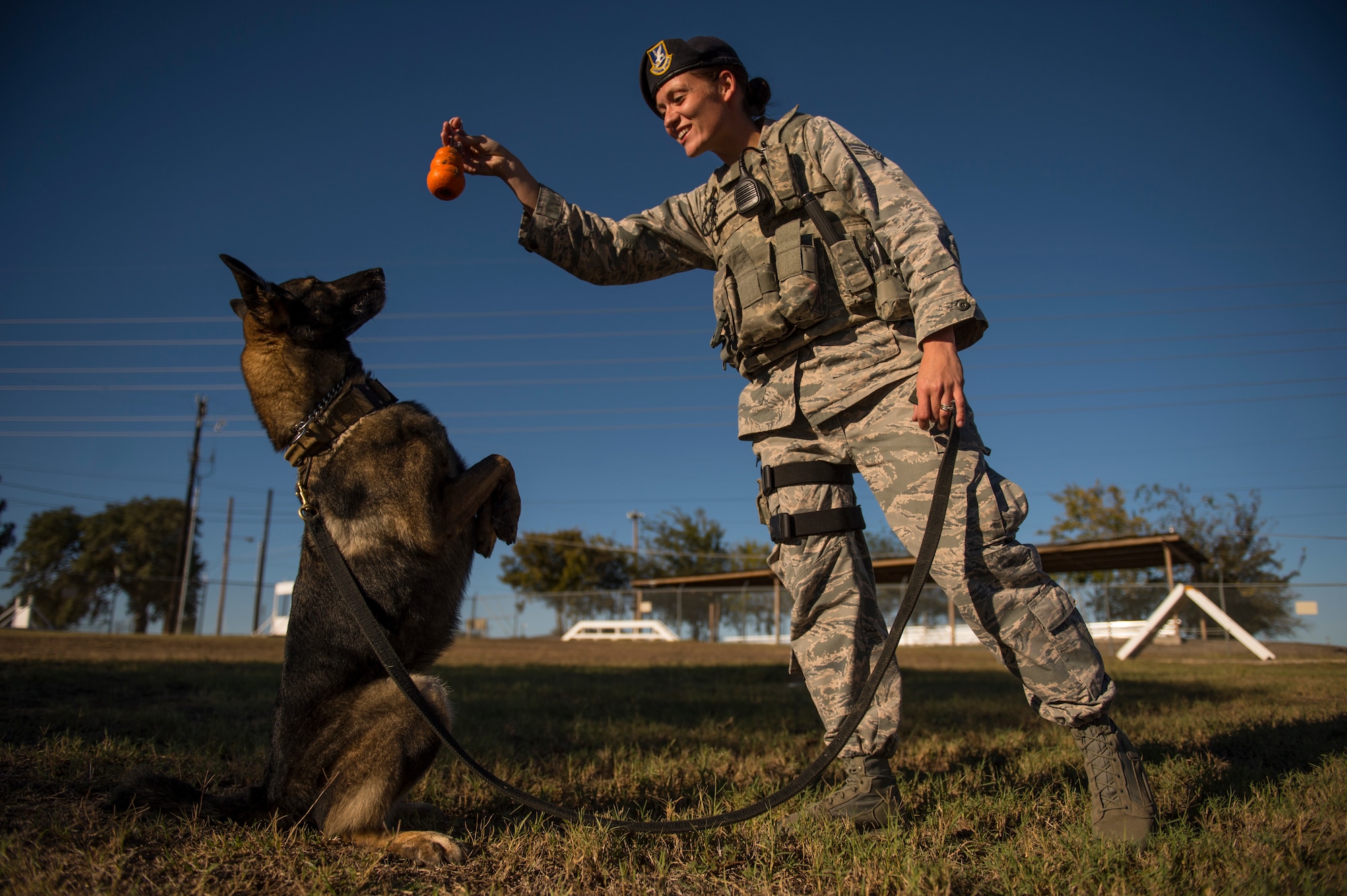 Senior Airman Chelsea LaFever gestures for ZZusa to "sit pretty" during training at Joint Base San Antonio-Lackland, Texas. Upon completion of training tasks, LaFever, a military working dog handler,  encourages ZZusa with a treat. LaFever and ZZusa have been training and developing chemistry to complete the day-to-day mission at JBSA-Lackland. (U.S. Air force photo/Staff Sgt. Vernon Young Jr.)