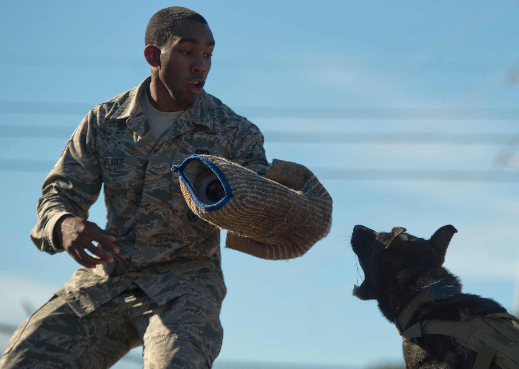 Staff Sgt. Sharif DeLarge, a military working dog handler from the 802nd Security Forces Squadron, braces for impact during a controlled aggression exercise with JJany at Joint Base San Antonio-Lackland. Devine and military working dog handlers assigned to JBSA-Lackland fulfill daily law enforcement requirements or train to remain mission-ready. (U.S. Air force photo/Staff Sgt. Vernon Young Jr.)