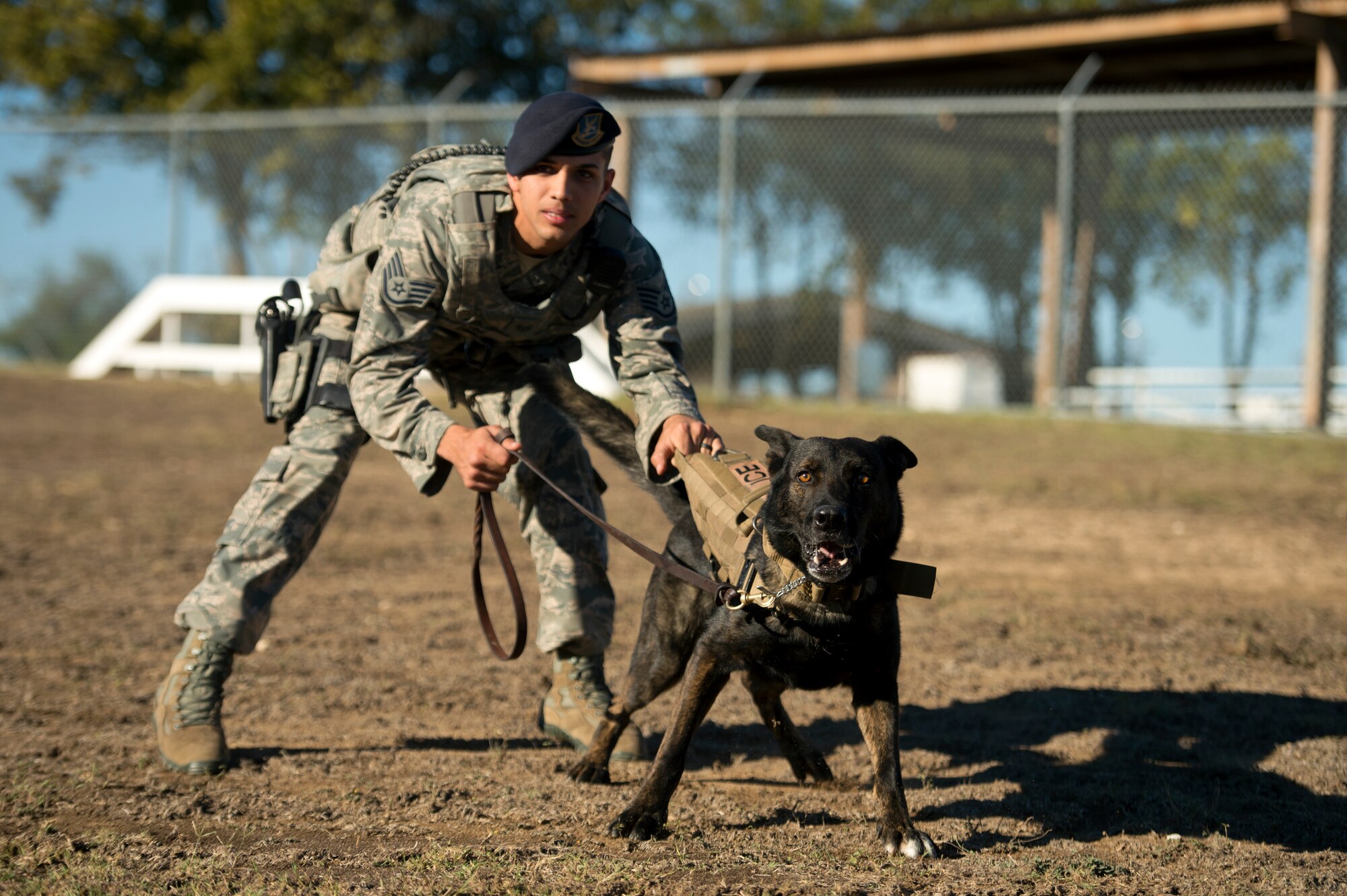 Staff Sgt. Mark Devine, a military working dog handler from the 802nd Security Forces Squadron, holds JJany during a morning training session at Joint Base San Antonio-Lackland. Devine and military working dog handlers assigned to JBSA-Lackland fulfill daily law enforcement requirements or train to remain mission-ready. (U.S. Air force photo/Staff Sgt. Vernon Young Jr.)