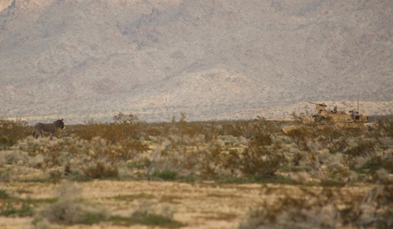 A tank faces a donkey standing about 20 feet away.