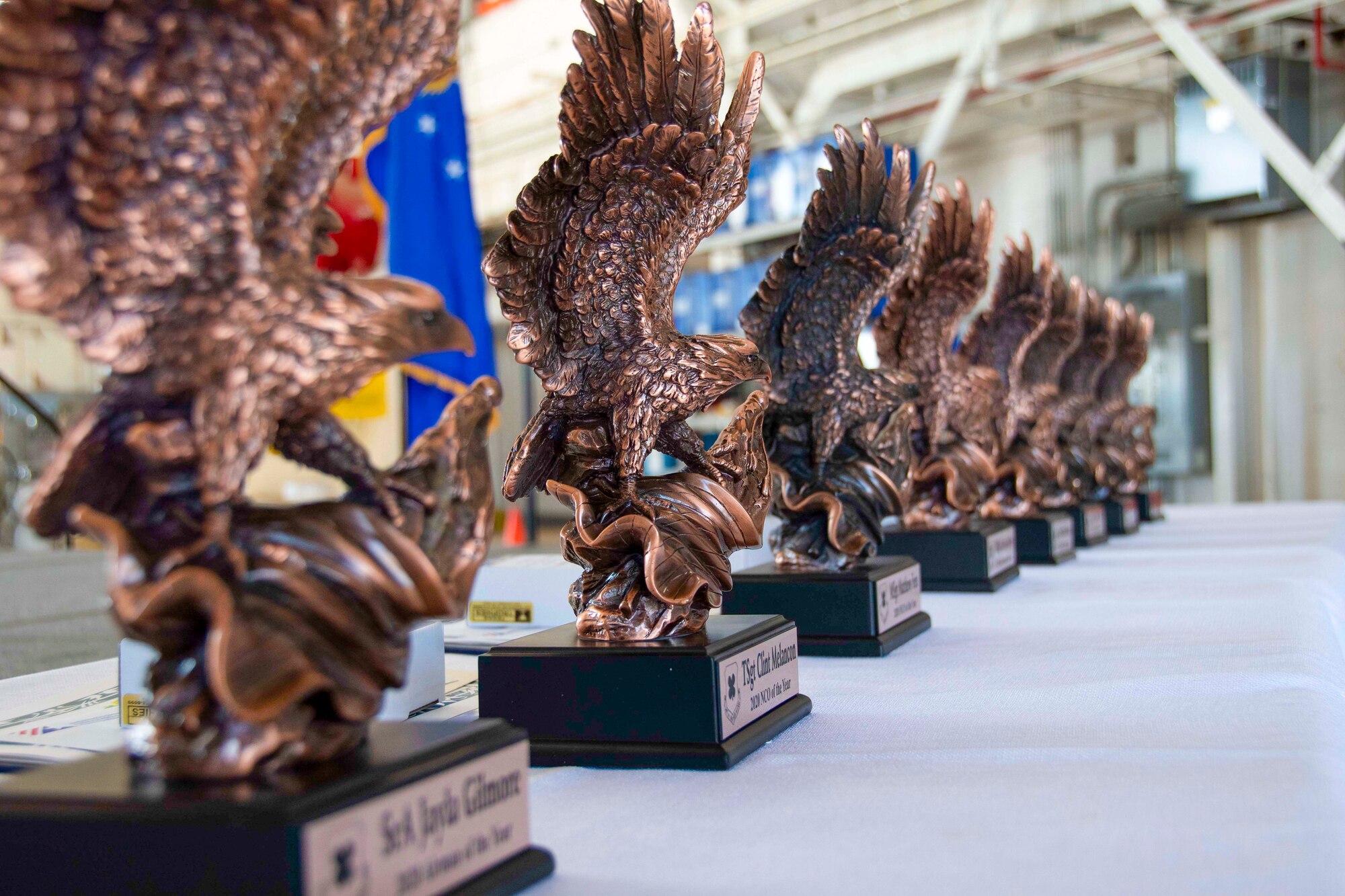 Photo of trophies lined up.