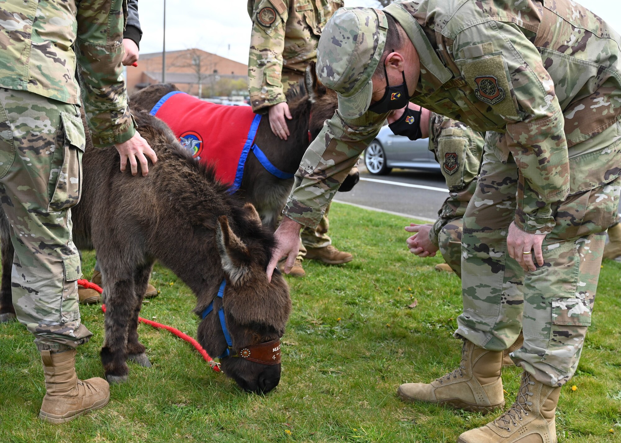 Mack and Tunner, 4th Airlift Squadron mascots, greet U.S. Air Force Maj. Gen. Thad Bibb, 18th Air Force commander, and Chief Master Sgt. Chad Bickley, 18th AF command chief, at Joint Base Lewis-McChord, Washington, April 9, 2021.  Pilots and aircrew with the 4th AS received the chance to be mentored by Bibb and Bickley. (U.S. Air Force photo by Airman 1st Class Callie Norton)