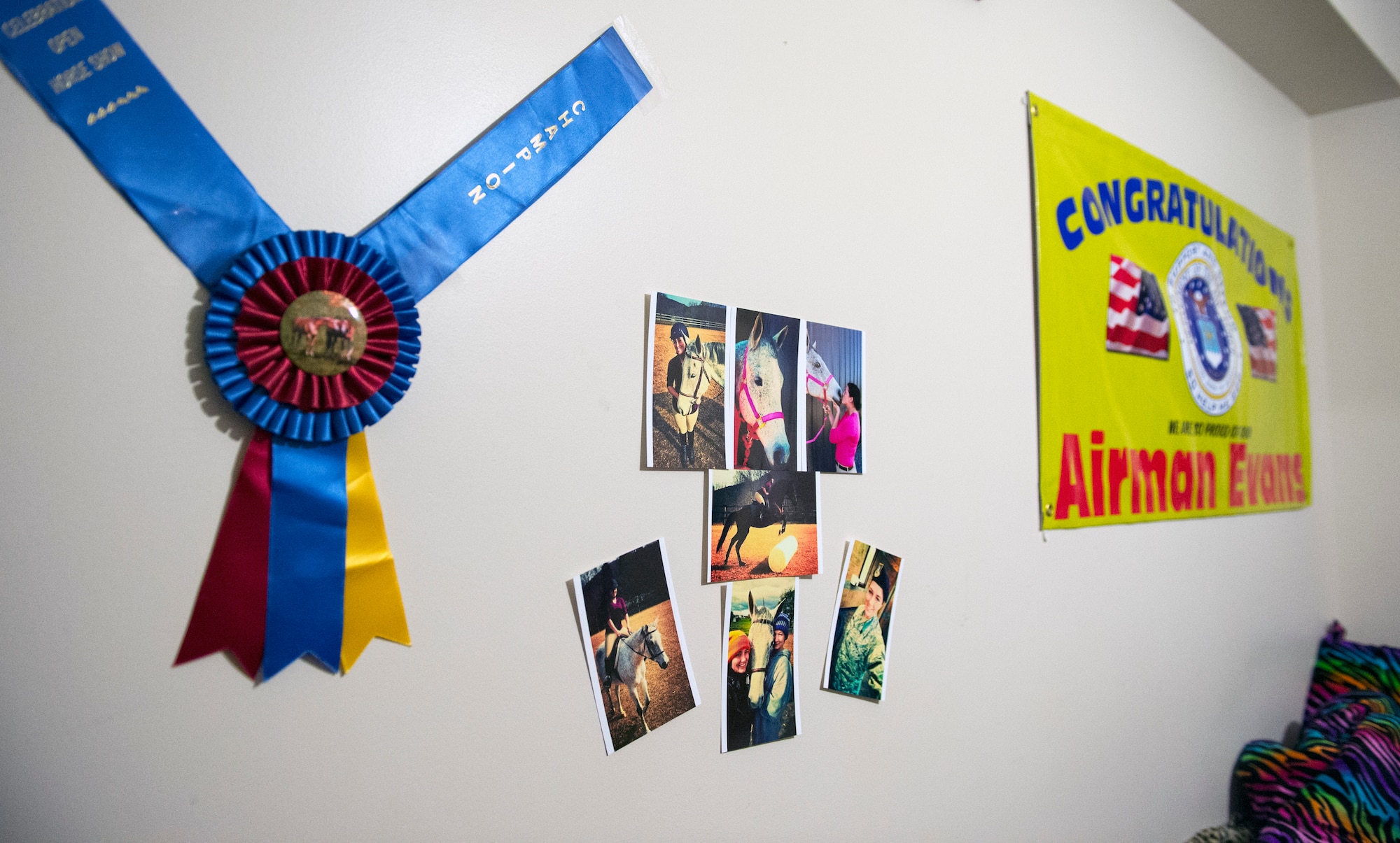 Ribbons and pictures align the dorm room walls of Airman 1st Class Kaitlyn Evans, an 11th Security Forces Squadron patrolman at Joint Base Andrews, Maryland. Evans works throughout the night and maintains a horse through the daytime. Her attention to detail and military discipline serves as key components to maintaining the demands of owning a horse and performing well at work. (U.S. Air Force photo/Staff Sgt. Vernon Young Jr.)