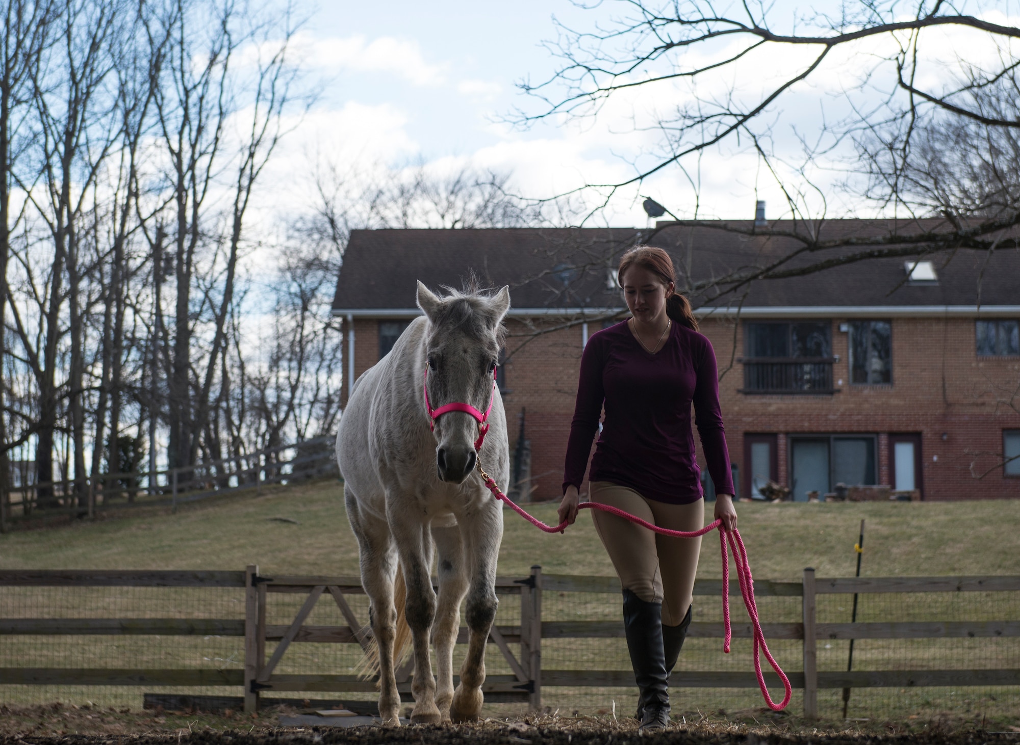 Airman 1st Class Kaitlyn Evans guides Kobalt after cleaning him inside a horse stable in Lothian, Maryland. Evans, a North Carolina native and 11th Security Forces Squadron patrolman at Andrews Air Force Base, Maryland, relocated her horse at her own expense to continue participating in competitions with the horse. She often compares spending time with her horse to being with a family member in her hometown. (U.S. Air Force photo/Staff Sgt. Vernon Young Jr.)