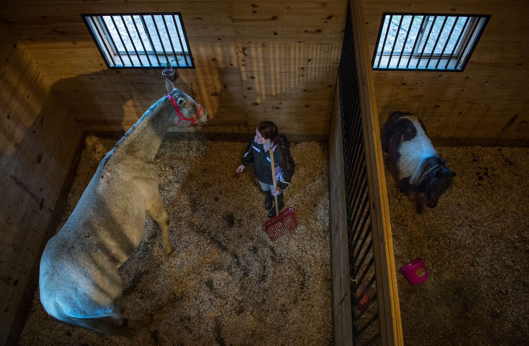 Airman 1st Class Kaitlyn Evans talks with Kobalt as she cleans his stall in Lothian, Maryland. Evans moved Kobalt into a barn during the winter months to ensure he stays warm. She is an 11th Security Forces Squadron patrolman at Andrews Air Force Base, Maryland. (U.S. Air Force photo/Staff Sgt. Vernon Young Jr.)