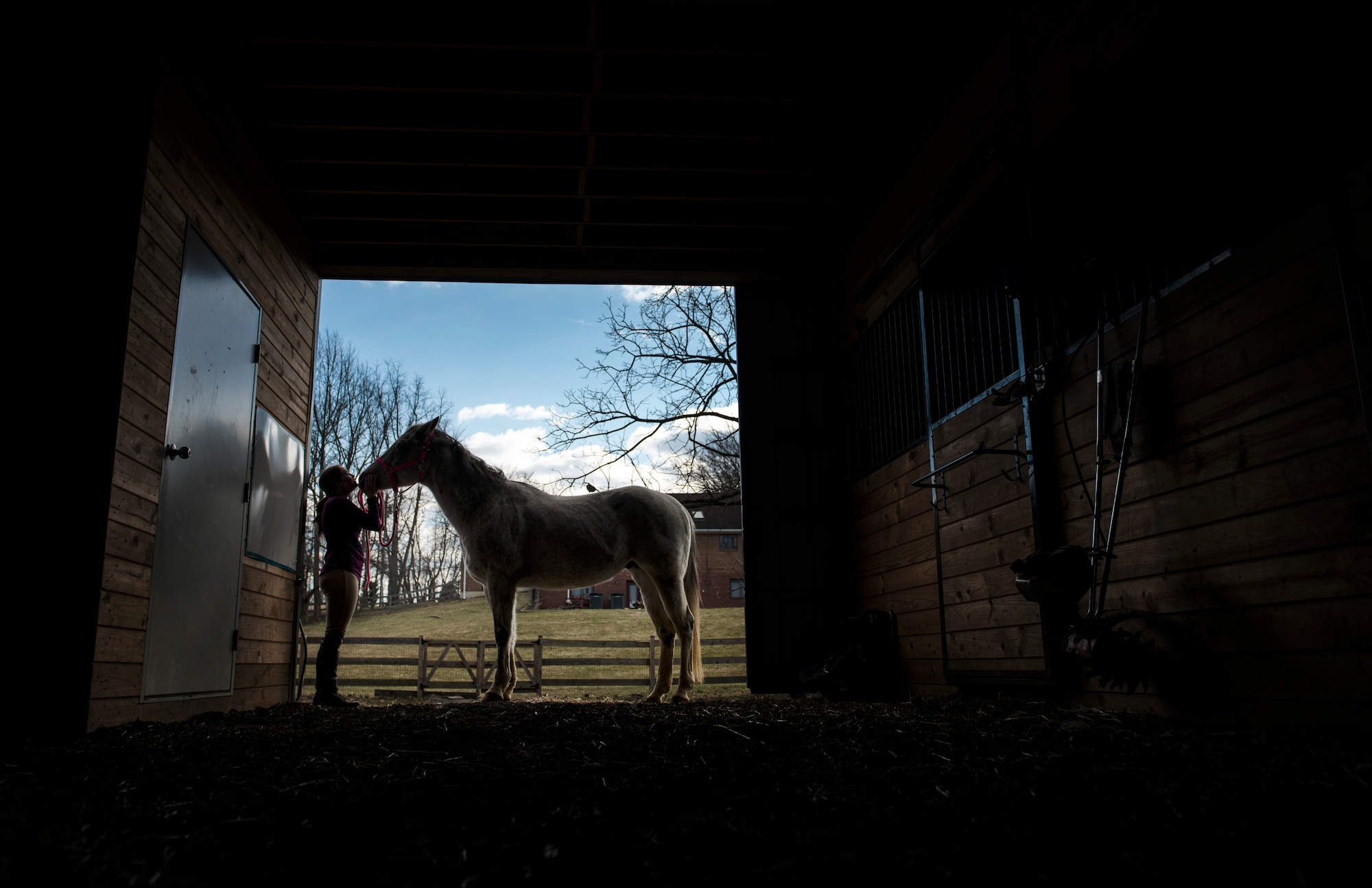 Airman 1st Class Kaitlyn Evans spends time with her horse Kobalt after the duty day. Evans, an 11th Security Forces Squadron patrolman at Andrews Air Force Base, Maryland, relocated Kobalt to Maryland at her own expense to participate in horse competitions. Spending time with Kobalt has helped Evans cope with the mental and physical adjustments of being an Airman. (U.S. Air Force photo/Staff Sgt. Vernon Young Jr.)
