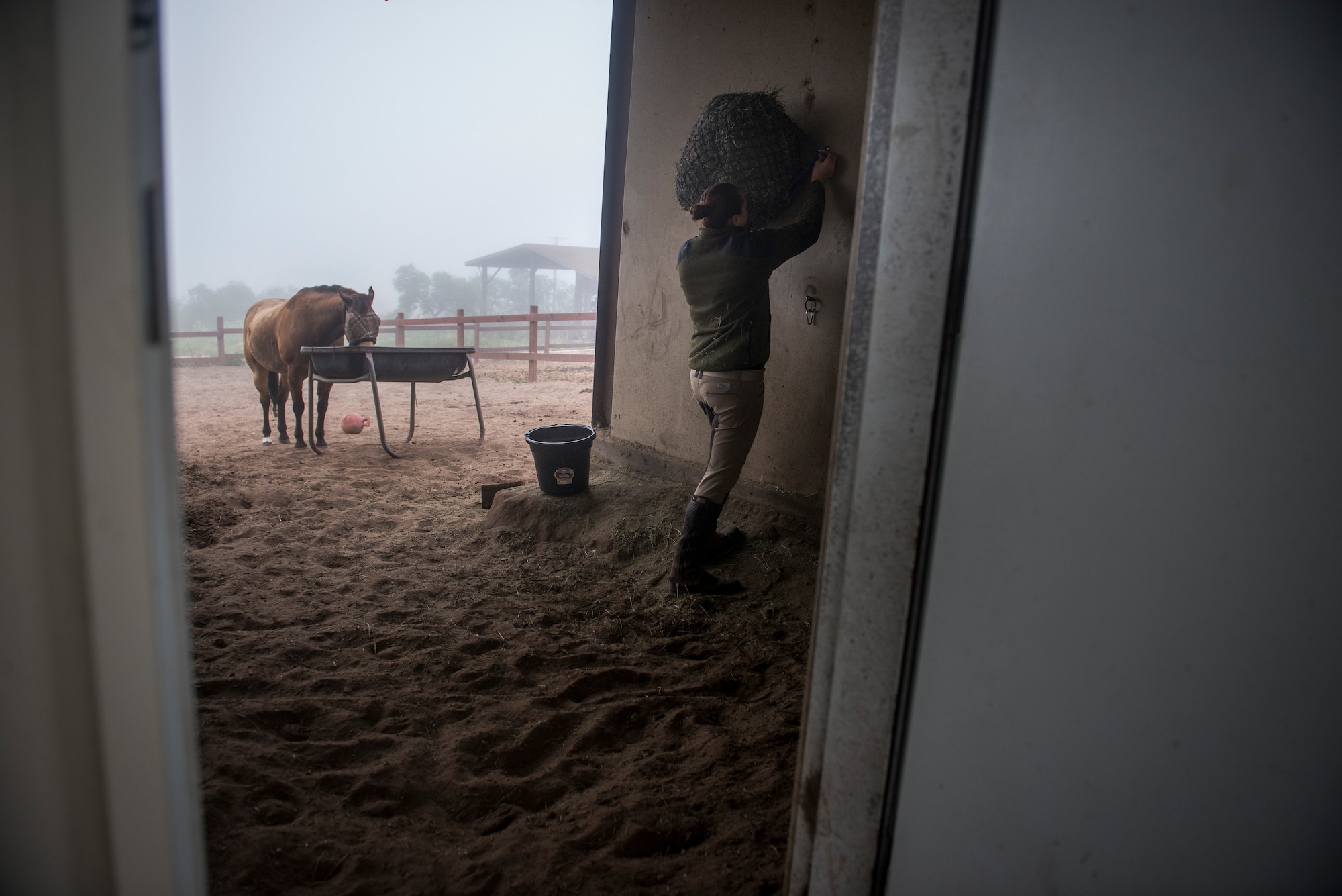 Reserve Staff Sgt. Lauren Daniels ties up a hay net for Buck, a military horse for Vandenberg Air Force Base's mounted horse patrol. (U.S. Air Force photo/Staff Sgt. Andrew Lee)