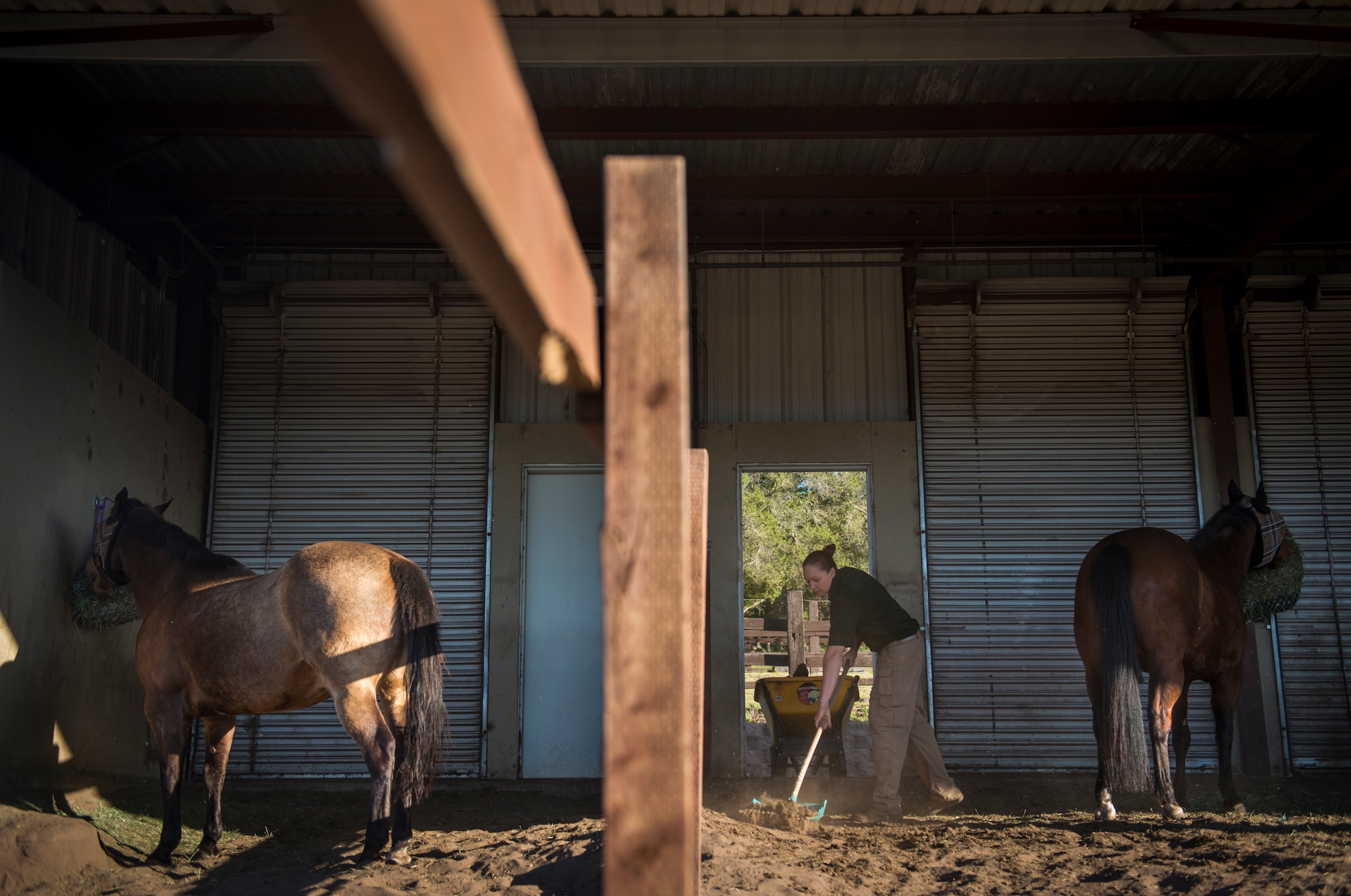 My Horse: Bonded Spirits no Steam