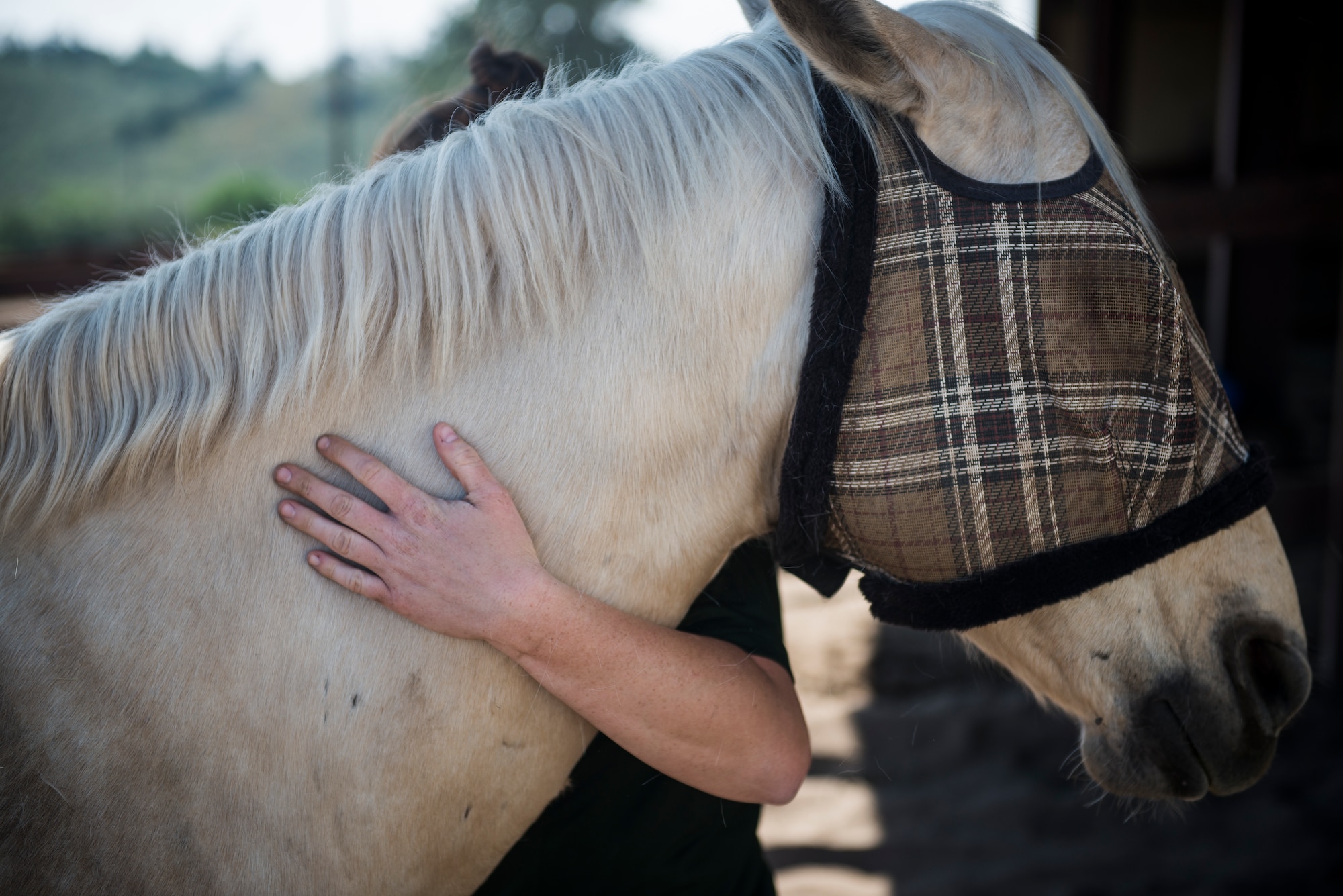 Reserve Staff Sgt. Lauren Daniels wraps her arm around Patton's neck to embrace him before taking him out on a patrol on the installation's beach at Vandenberg Air Force Base, California. Patton, a white palomino, is one of four military horses in Vandenberg AFB's mounted patrol. (U.S. Air Force photo/Staff Sgt. Andrew Lee)