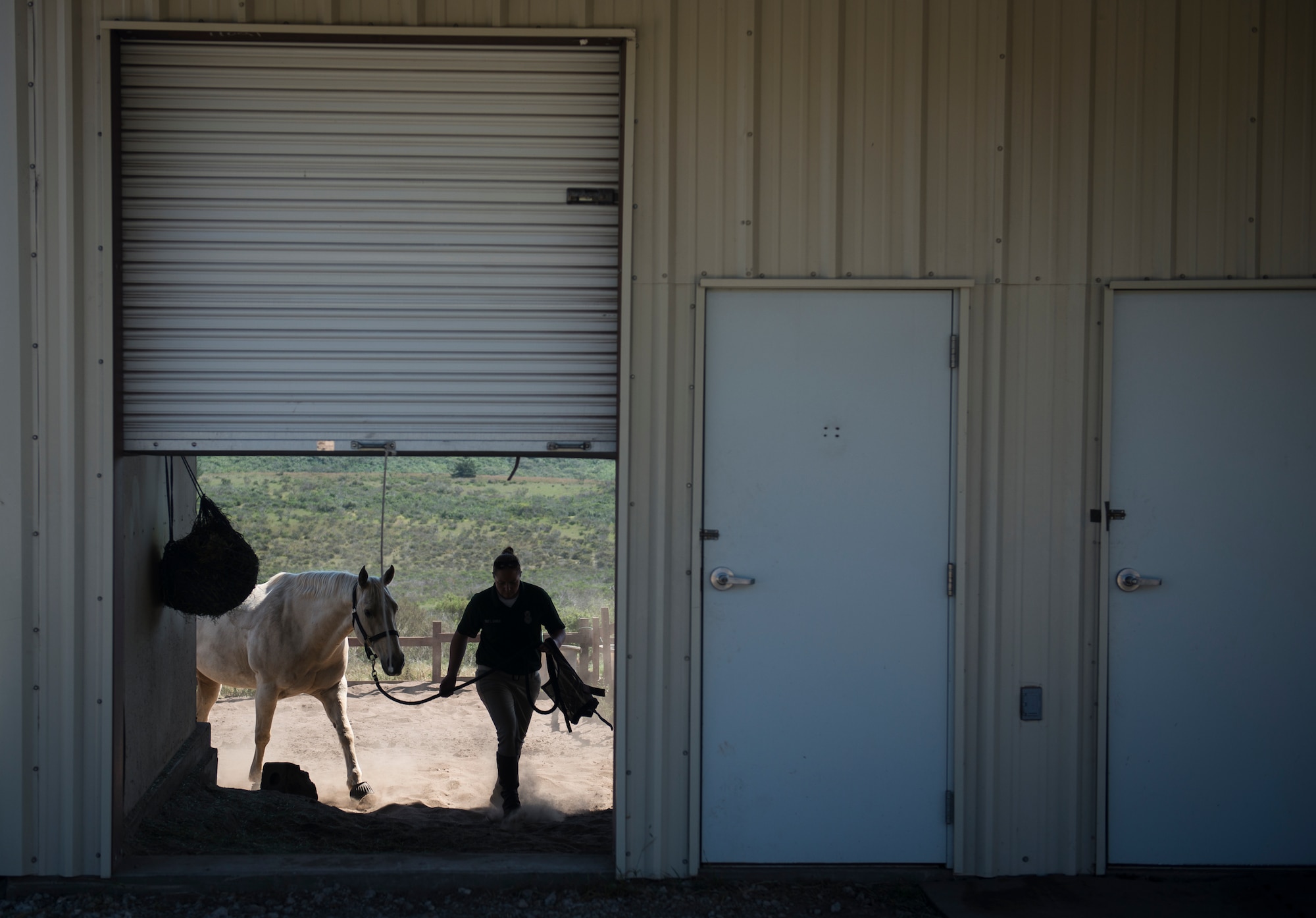 After giving time for the horses to eat, Reserve Staff Sgt. Lauren Daniels takes Patton out of his stable to prepare him for a patrol on the beach at Vandenberg Air Force Base, California. Some of the steps of preparation for the patrolmen is to brush the horses to remove loose hair, clean the hooves and assemble the fitted saddle. (U.S. Air Force photo/Staff Sgt. Andrew Lee)