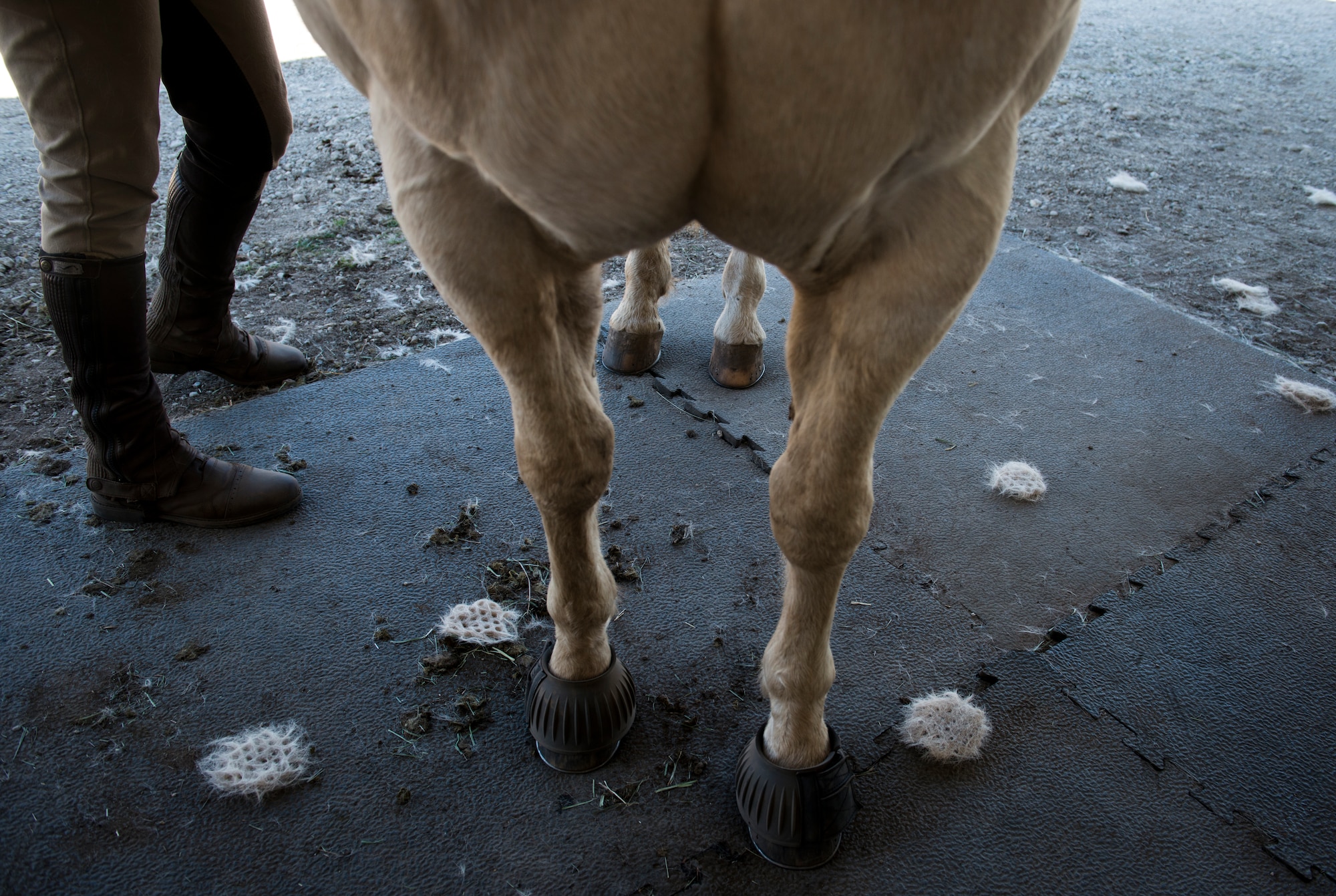 Reserve Staff Sgt. Lauren Daniels brushes off the loose hairs on Patton, creating waffle-like patterns of hair landing on the ground. Brushing the horses is a daily chore to maintain a healthy coat as well as a task to prepare them before going on a patrol on the installation at Vandenberg Air Force Base, California.  (U.S. Air Force photo/Staff Sgt. Andrew Lee)