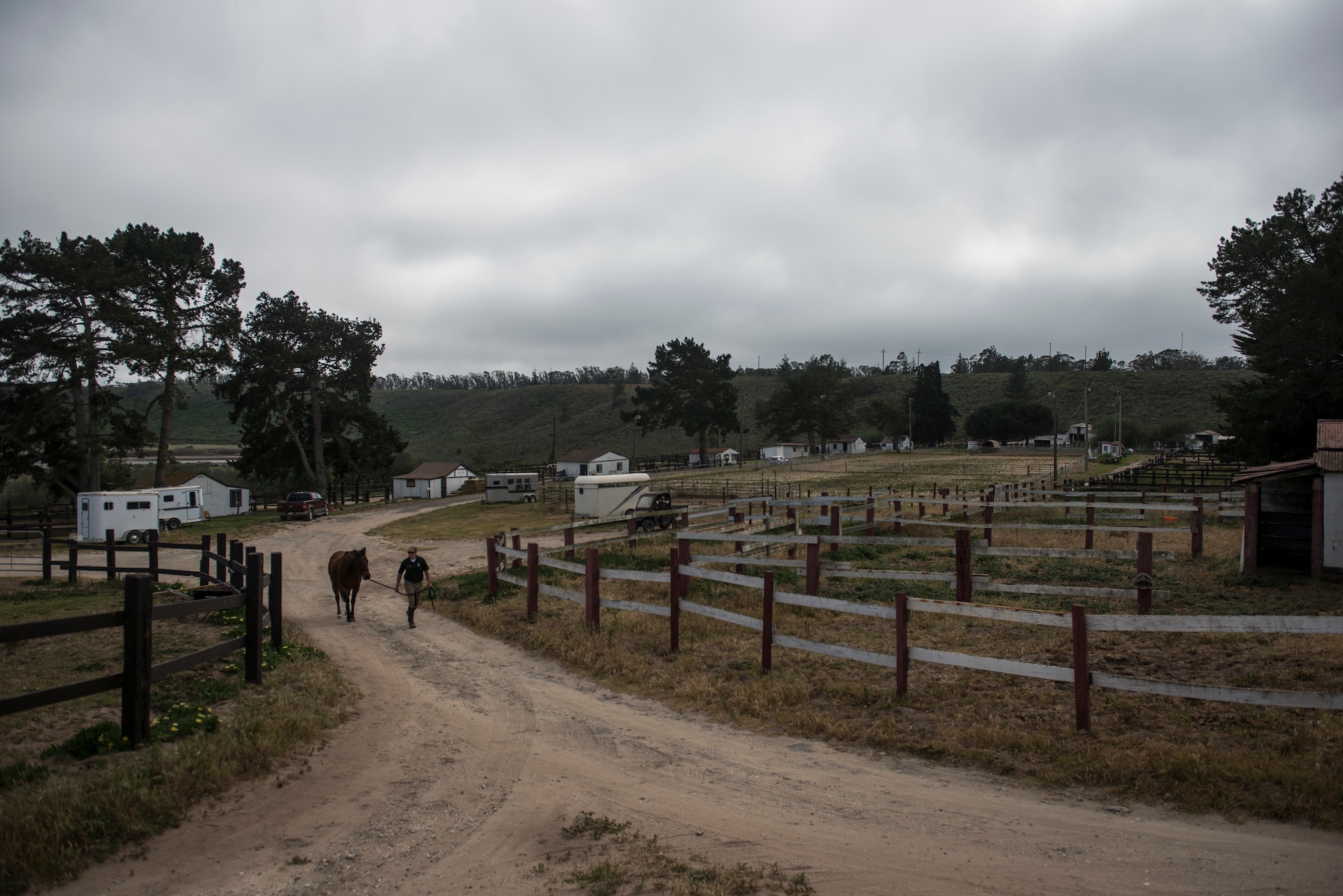 After finishing training for the day Reserve Staff Sgt. Lauren Daniels and Trooper, a military horse, walk back to the stables at the Vandenberg Saddle Club near Vandenberg Air Force Base, California. (U.S. Air Force photo/Staff Sgt. Andrew Lee)