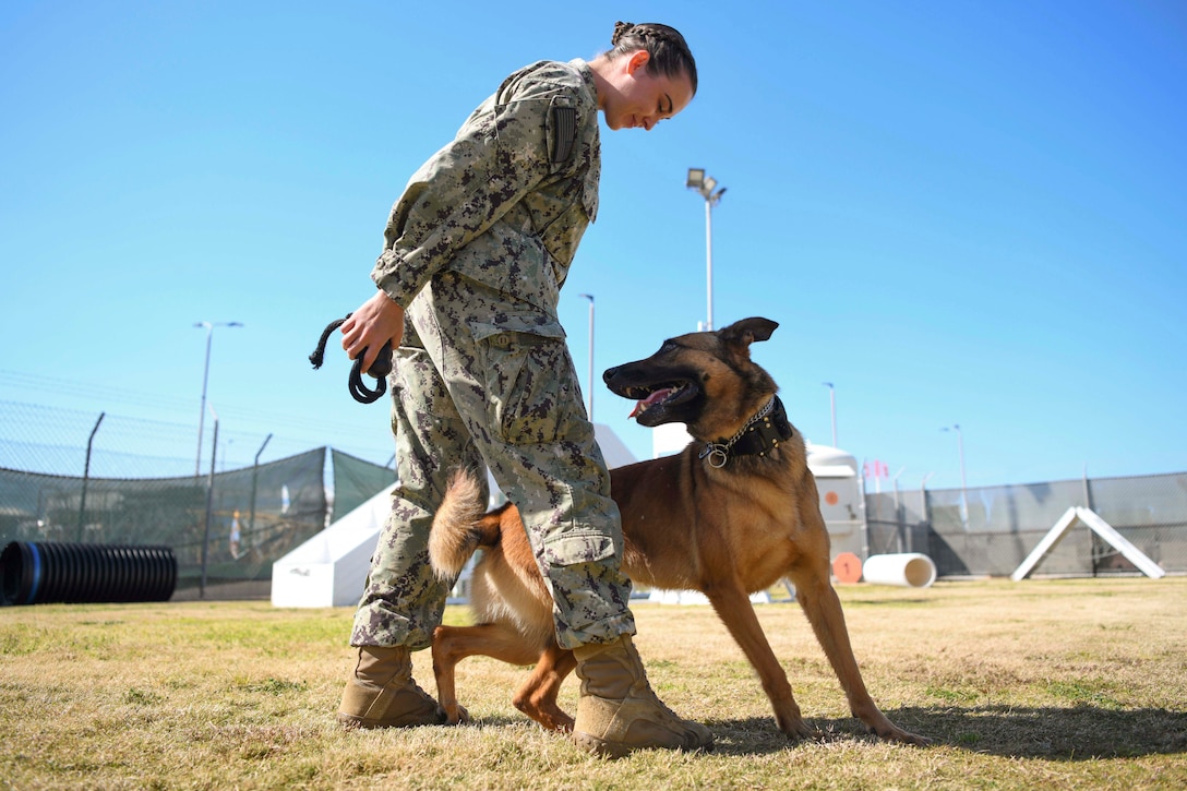 A sailor trains a military working dog in a field.