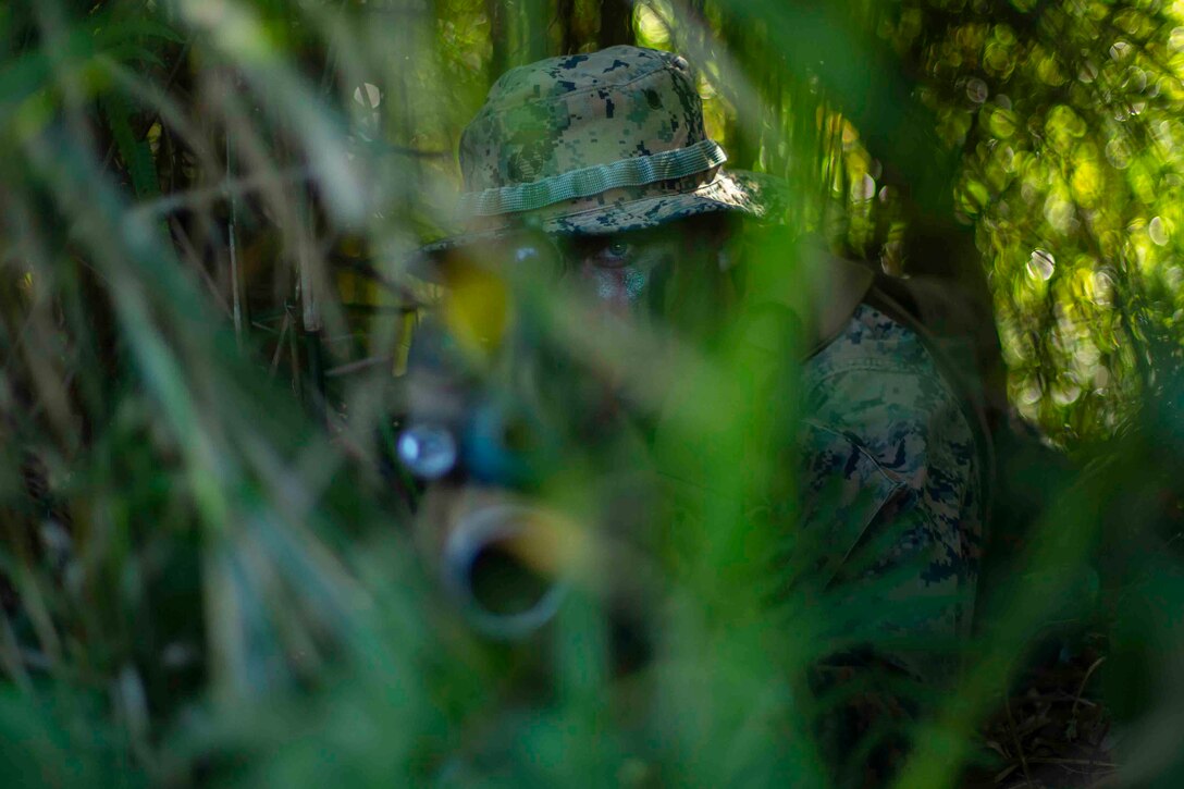 A Marine holds a weapon while camouflaged behind green brush.
